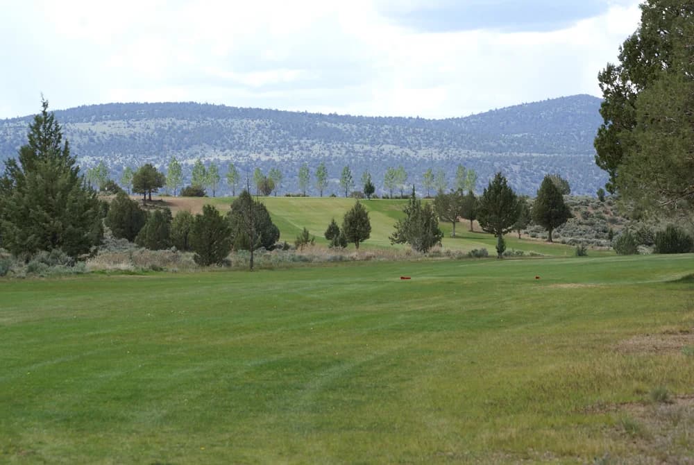 Likely Place Golf & RV Resort — golf course