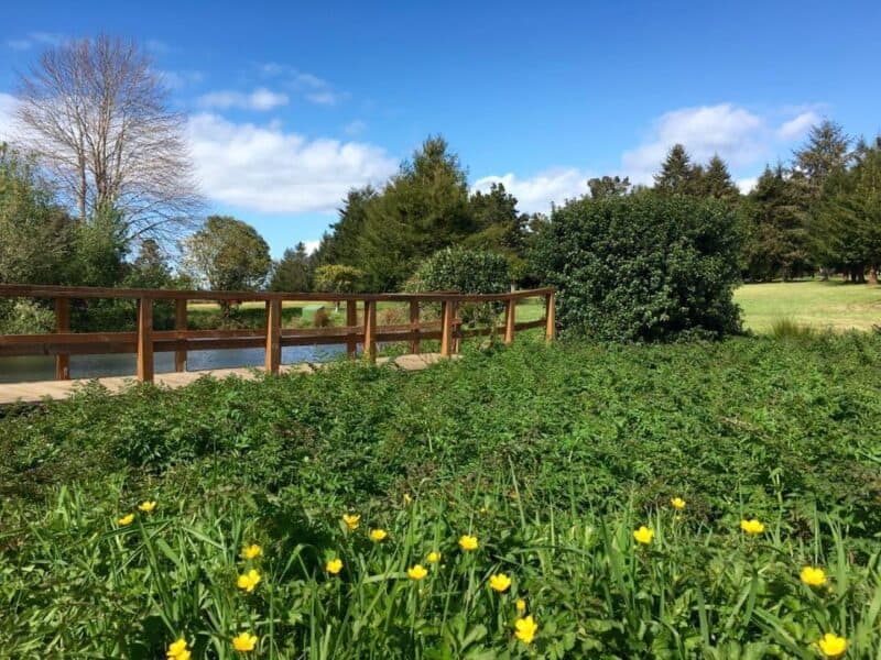 Kings Valley Golf Course — golf course