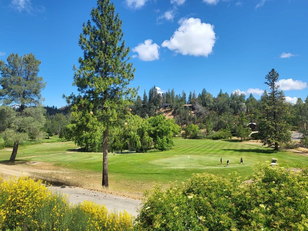 Adams Springs Golf Course — golf course